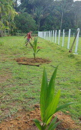 Imagem Chácara à Venda, 1.000 m²em Paricatuba - Iranduba Imagem Chácara à Venda, 1.000 m²em Paricatuba - Iranduba