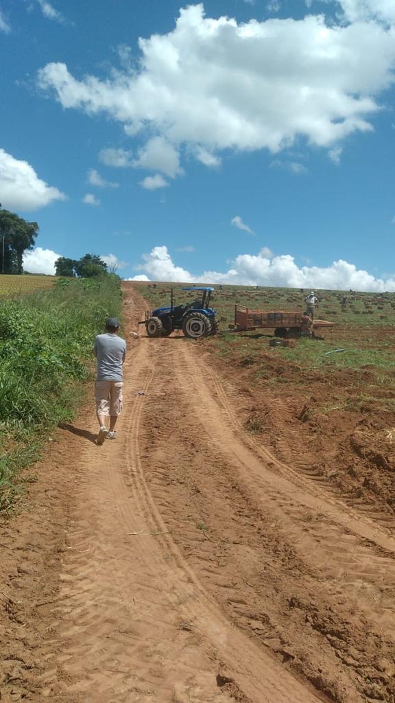 Imagem Fazenda à Venda, 6 Alq. SP em Valadão - Piedade
