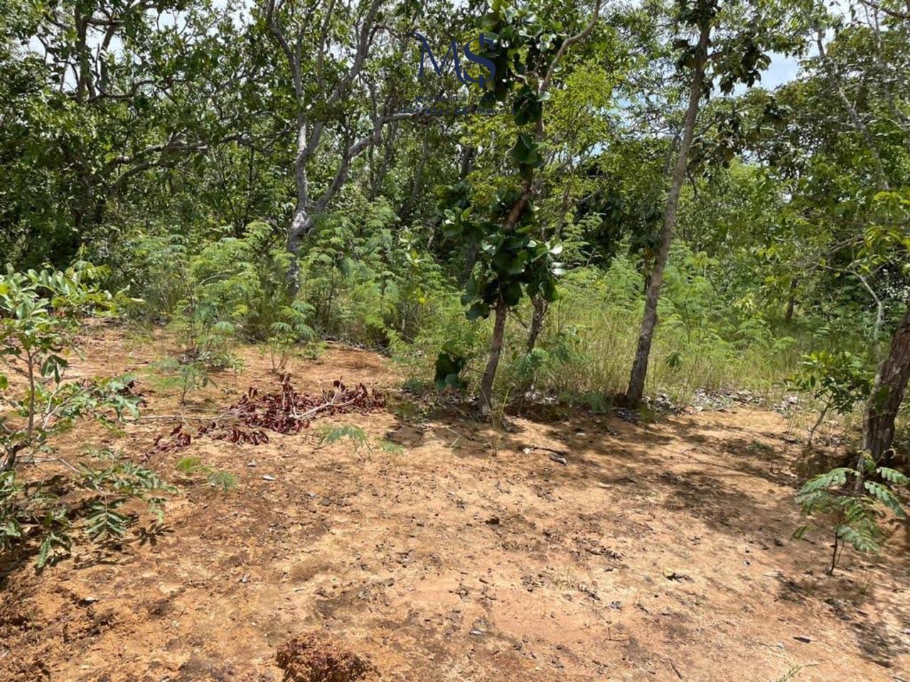 Imagem Fazenda à Venda, 427 m²em rural - São João D'Aliança