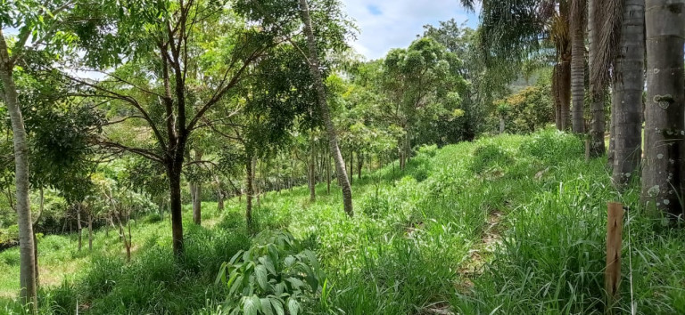 Imagem Terreno à Venda, 450.000 m² em Área Rural de Itabirito - Itabirito