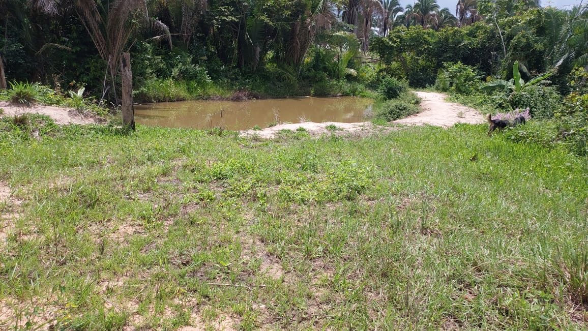 Imagem Fazenda à Venda, 9 Alq MGem Nova Marabá - Marabá