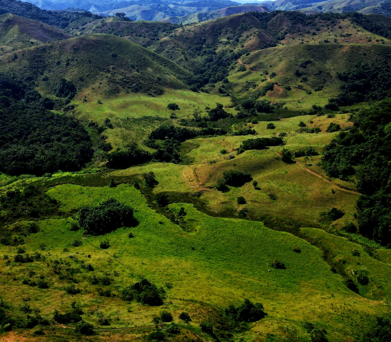 Imagem Fazenda à Venda, 459.000 HA em Área Rural de Valença - Valença
