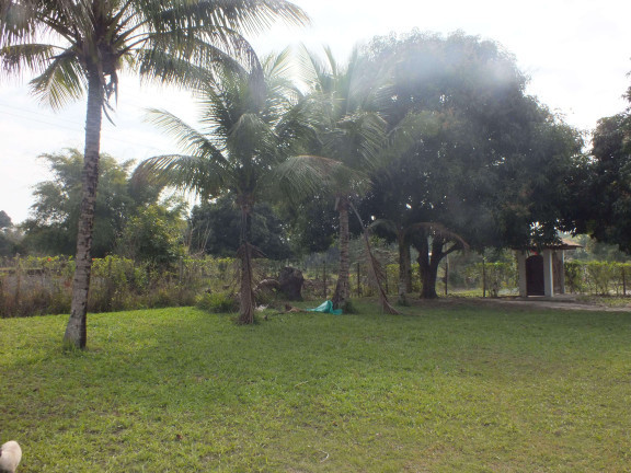 Imagem Chácara com 2 Quartos à Venda, 2.800 m² em Araruama Imagem Chácara com 2 Quartos à Venda, 2.800 m² em Araruama
