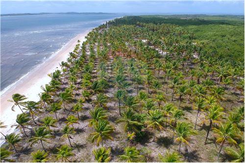 Imagem Terreno à Venda, 14 m²em ILHA DO CONTRATO - Igrapiúna