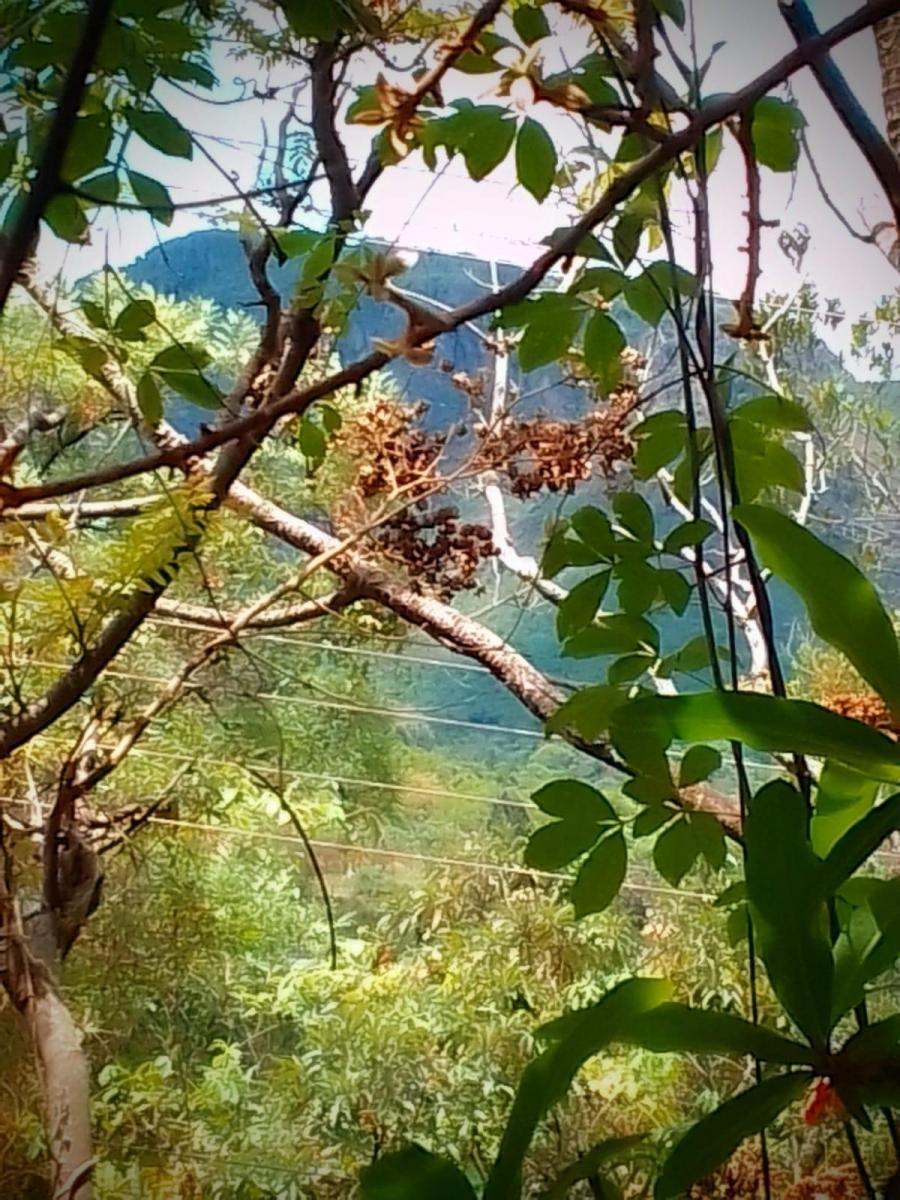 Imagem Terreno à Venda, 2.000 m² em Recanto da Aldeia - Brumadinho Imagem Terreno à Venda, 2.000 m² em Recanto da Aldeia - Brumadinho