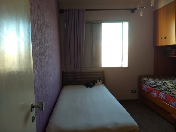 Imagem Apartamento com 3 Quartos à Venda, 79 m² em Vila Guilherme - São Paulo Imagem Apartamento com 3 Quartos à Venda, 79 m² em Vila Guilherme - São Paulo