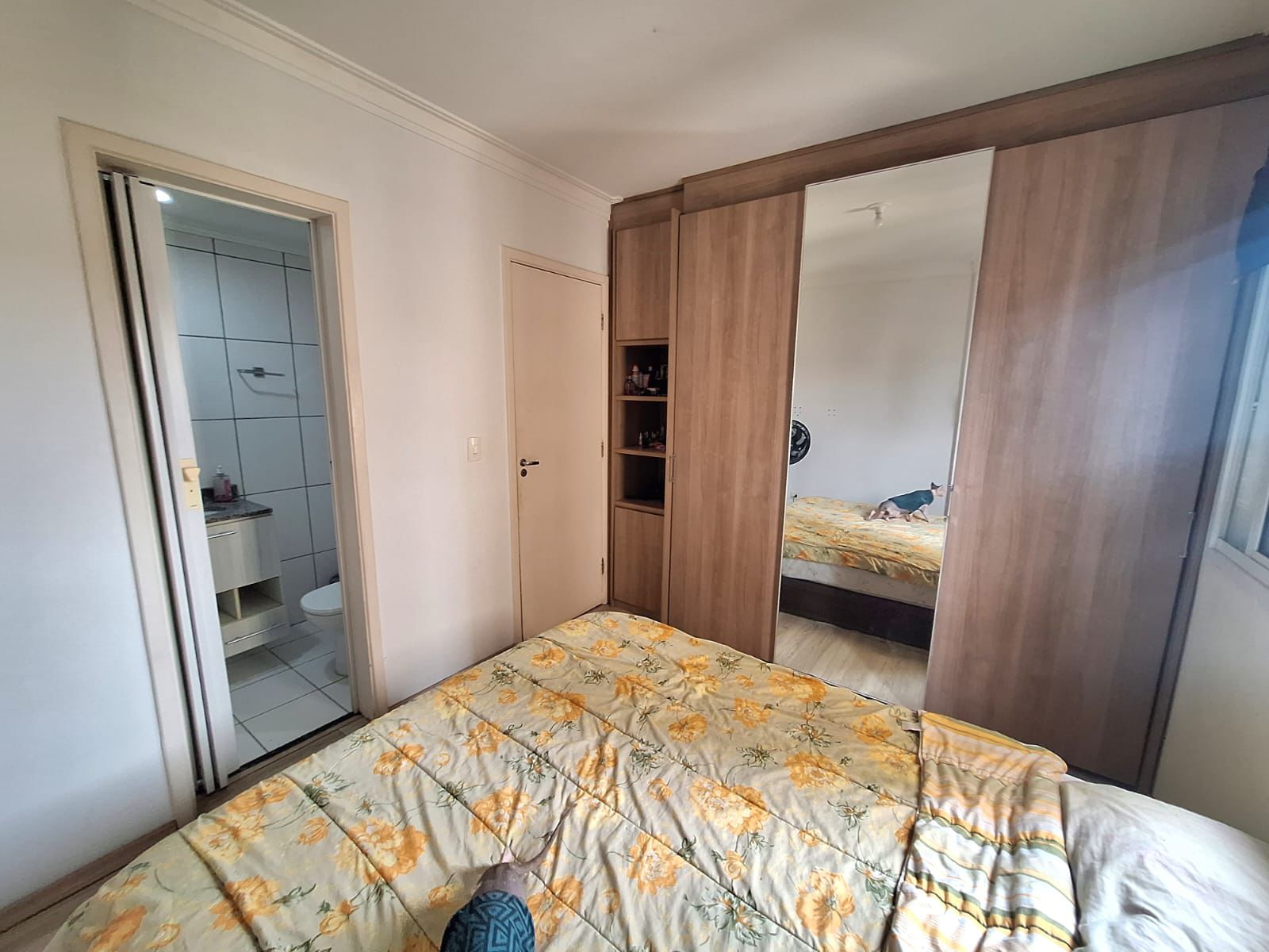 Imagem Apartamento com 3 Quartos à Venda ou Locação, 74 m² em Vila das Mercês - São Paulo Imagem Apartamento com 3 Quartos à Venda ou Locação, 74 m² em Vila das Mercês - São Paulo