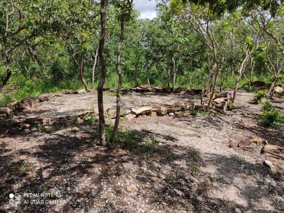 Imagem Chácara com 1 Quarto à Venda, 20.000 m² em Independência - 1º Complemento Setor das Mansões - Aparecida de Goiânia