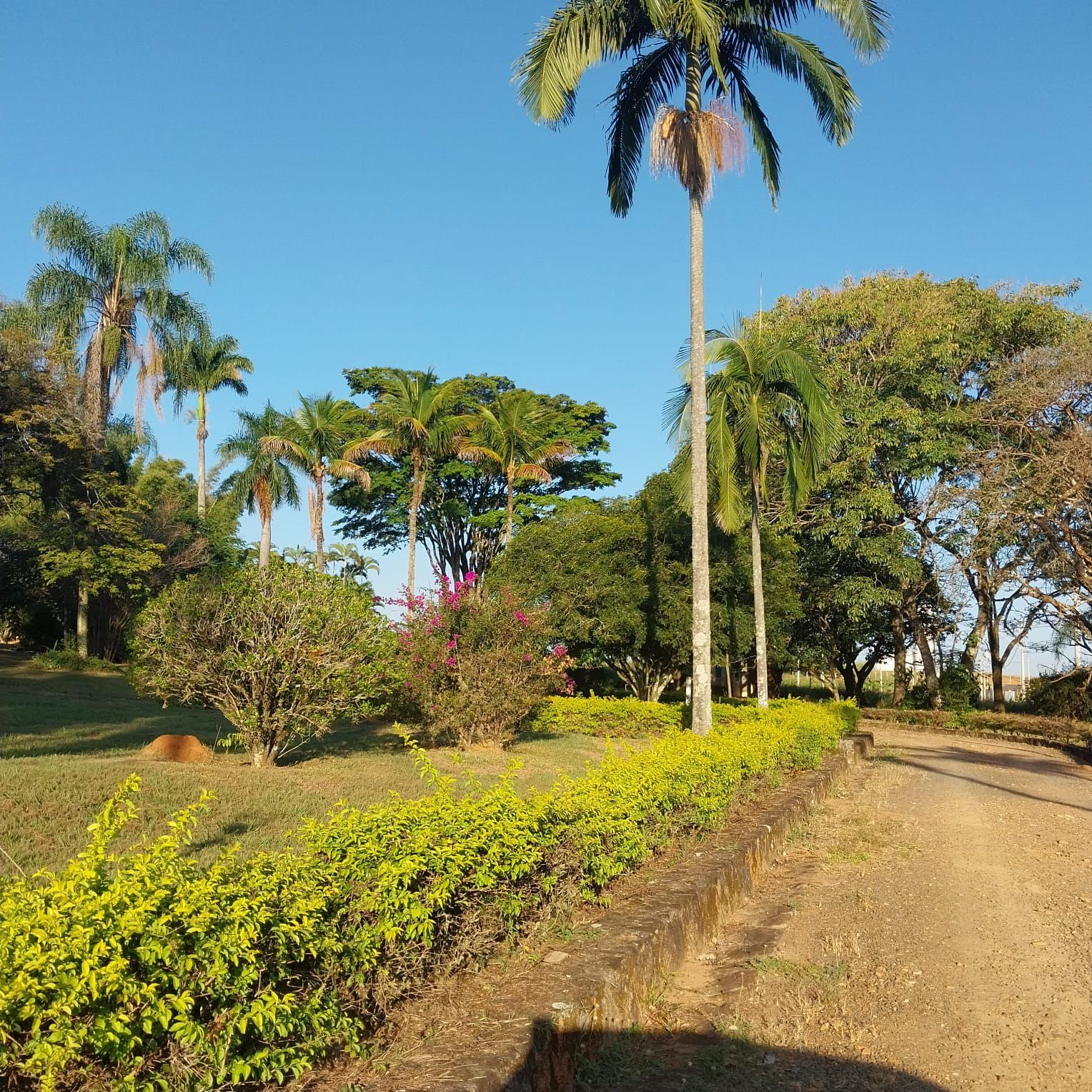 Imagem Terreno em Condomínio à Venda, 250 m²em Colinas do Castelo - Jaguariúna