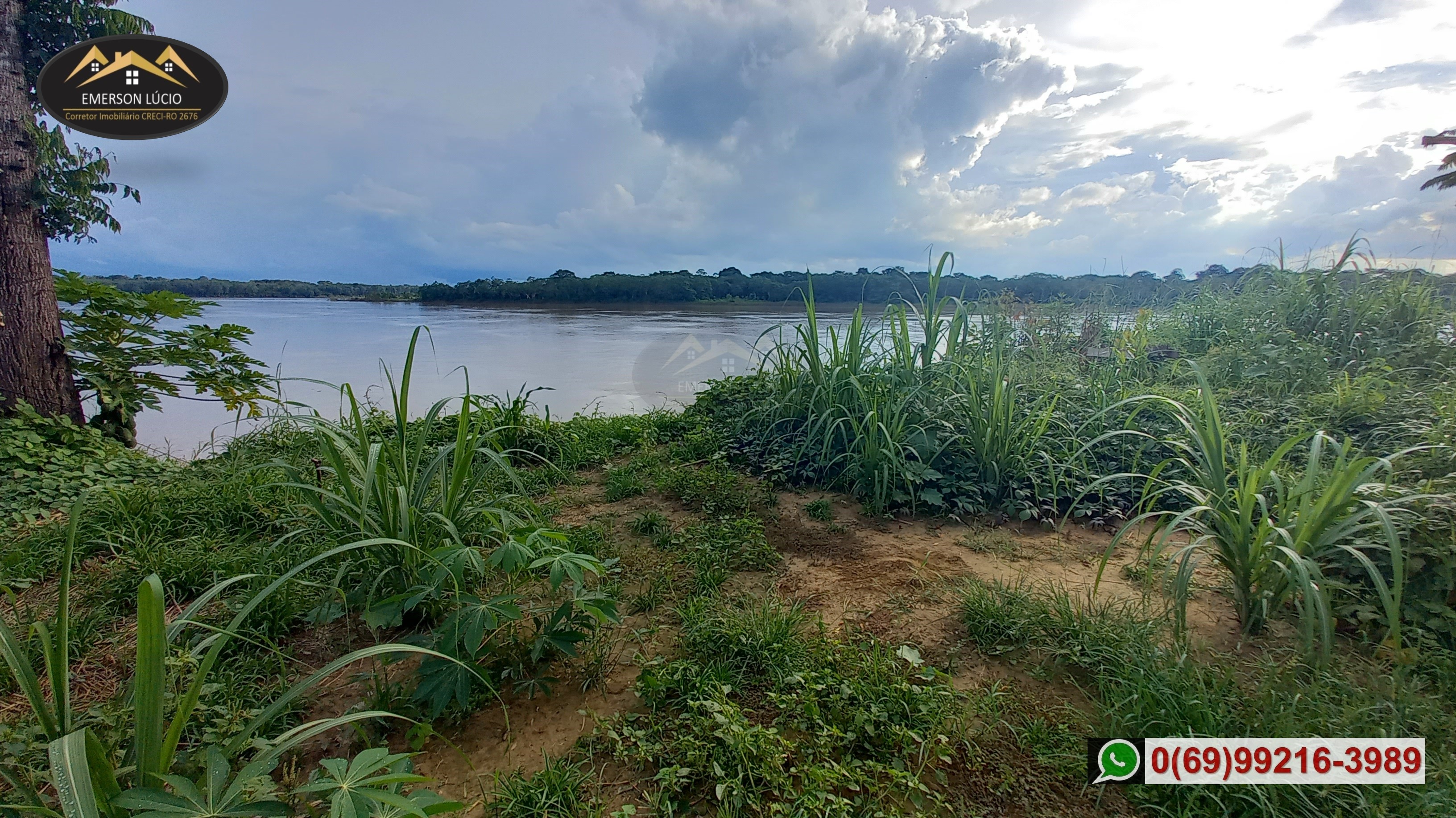 Imagem Fazenda à Venda, 50 HAem Rio Madeira - Porto Velho Imagem Fazenda à Venda, 50 HAem Rio Madeira - Porto Velho