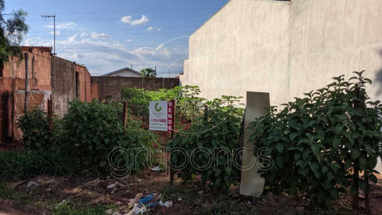 Imagem Terreno à Venda, 163 m² em Parque São Paulo (vila Xavier) - Araraquara Imagem Terreno à Venda, 163 m² em Parque São Paulo (vila Xavier) - Araraquara
