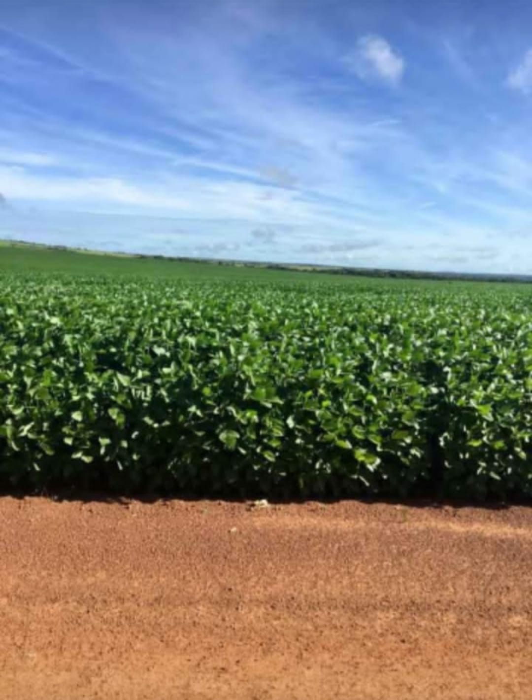 Imagem Imóvel à Venda, em Zona Rural - Confresa