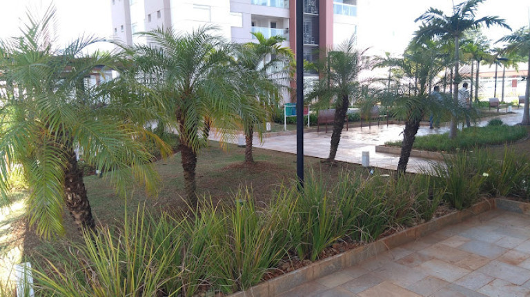 Imagem Apartamento com 3 Quartos para Alugar, em Jardim Aquárius - Limeira Imagem Apartamento com 3 Quartos para Alugar, em Jardim Aquárius - Limeira