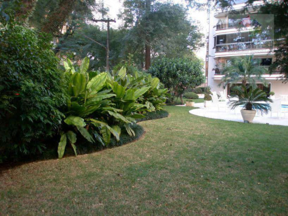 Imagem Apartamento com 4 Quartos à Venda ou Locação, 550 m² em Higienópolis - São Paulo