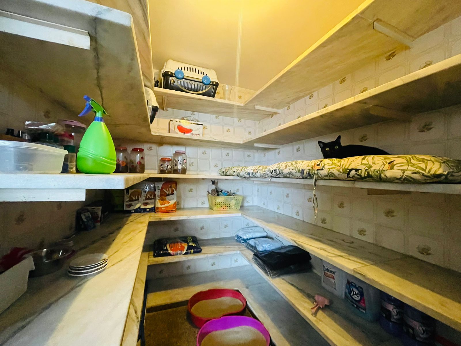 Imagem Cobertura com 4 Quartos à Venda, 960 m² em Cambuí - Campinas
