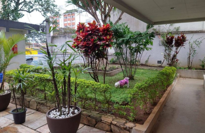 Imagem Apartamento com 3 Quartos à Venda, em Vila Mariana - São Paulo Imagem Apartamento com 3 Quartos à Venda, em Vila Mariana - São Paulo