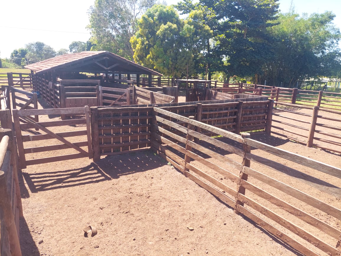 Imagem Fazenda à Venda, 968 m² em Estiva - Itajubá Imagem Fazenda à Venda, 968 m² em Estiva - Itajubá