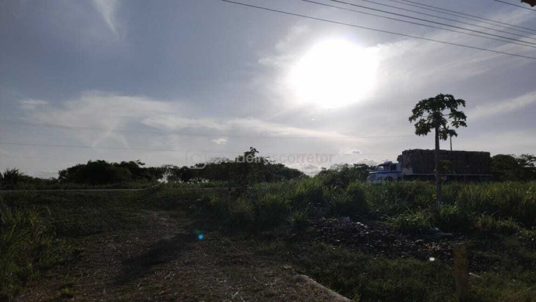Imagem Chácara com 3 Quartos à Venda,  em Distrito Patacas - Aquiraz
