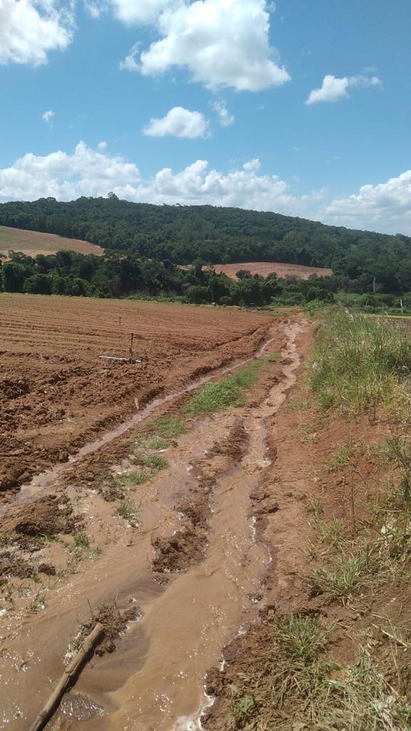 Imagem Fazenda à Venda, 6 Alq. SP em Valadão - Piedade