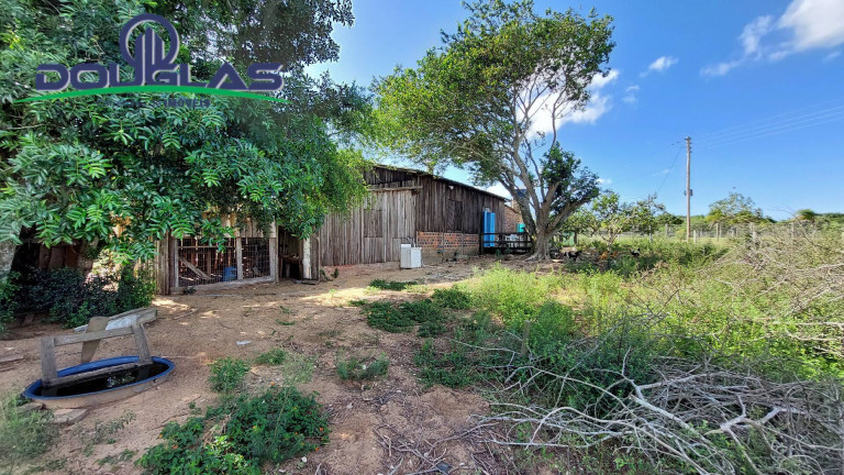 Imagem Chácara com 2 Quartos à Venda, 80 m² em Águas Claras - Viamão Imagem Chácara com 2 Quartos à Venda, 80 m² em Águas Claras - Viamão