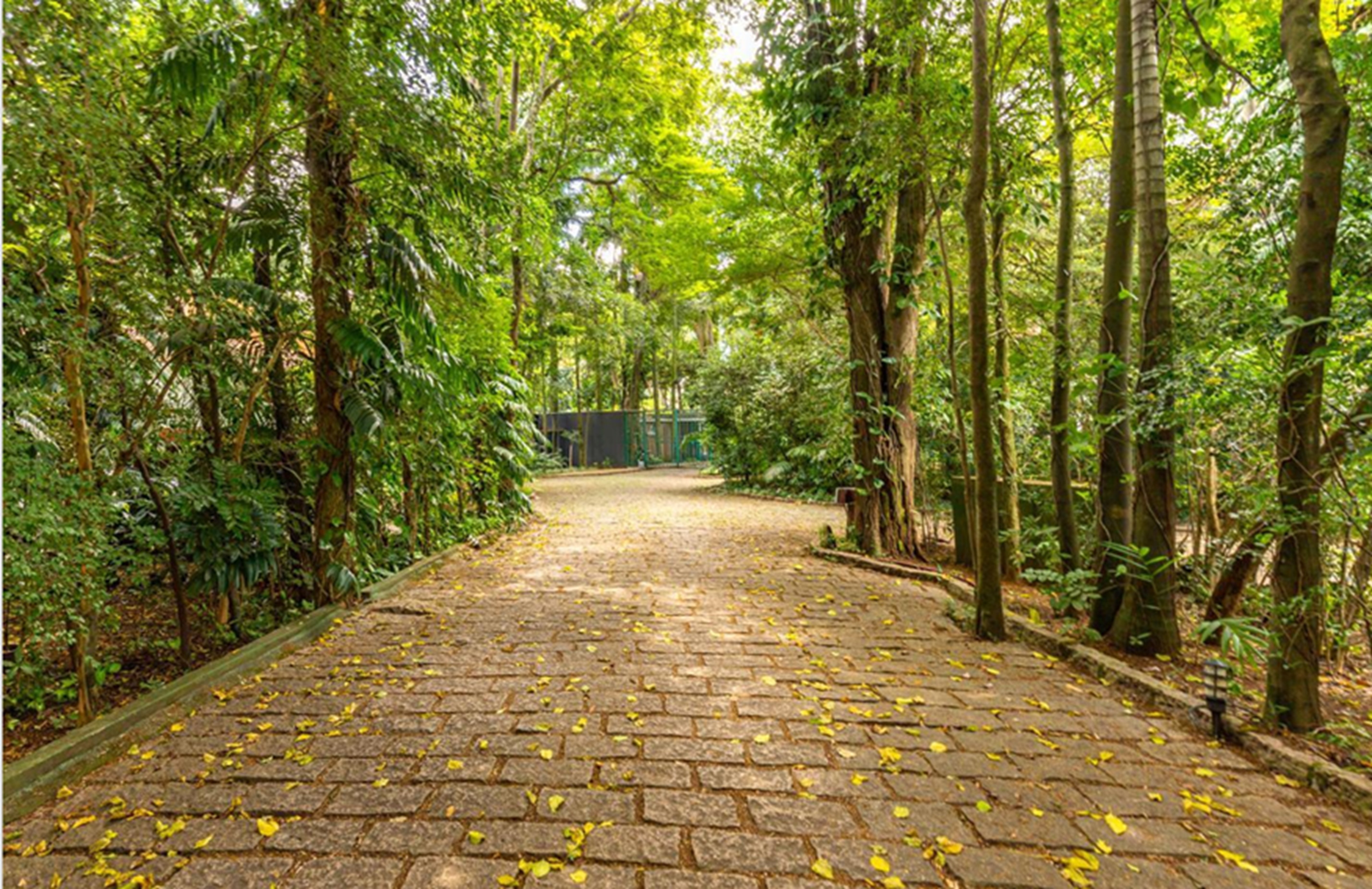 Imagem Casa de Condomínio com 5 Quartos à Venda, 650 m² em Jardim dos Estados - São Paulo