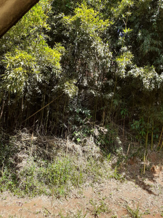 Imagem Imóvel Comercial à Venda, 100 m² em Pimenteiras - Teresópolis Imagem Imóvel Comercial à Venda, 100 m² em Pimenteiras - Teresópolis
