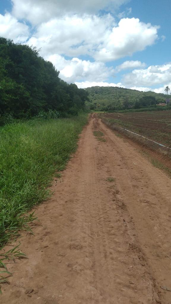 Imagem Fazenda à Venda, 6 Alq. SP em Valadão - Piedade