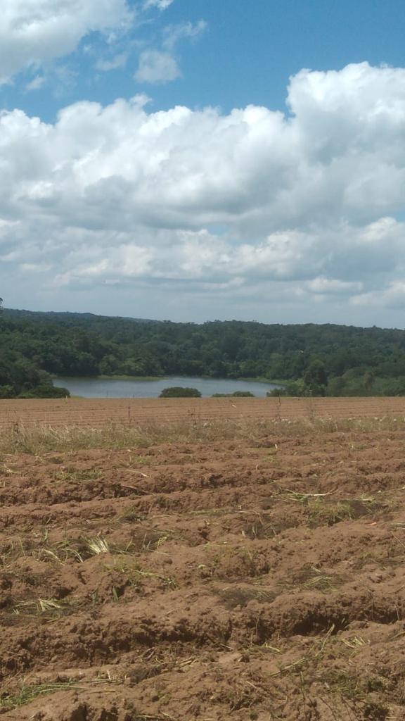 Imagem Fazenda à Venda, 6 Alq. SP em Valadão - Piedade