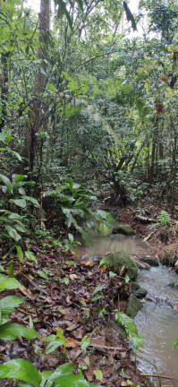 Imagem Terreno à Venda,  em Santaninha - Pedras Grandes