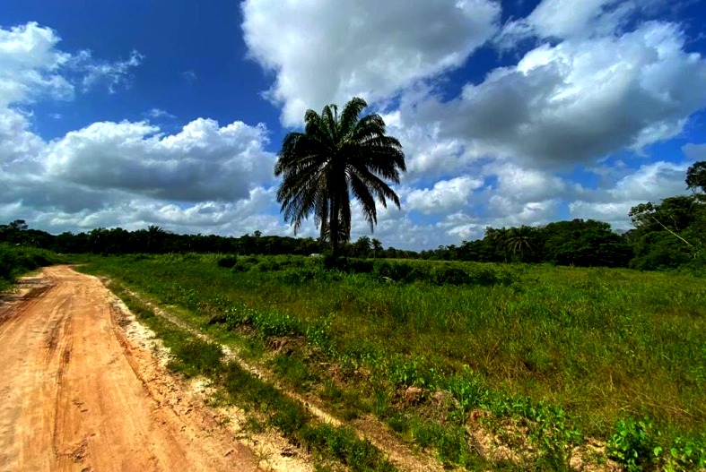 Imagem Terreno à Venda, 548 m²em AMERICANO - Santa Izabel do Pará Imagem Terreno à Venda, 548 m²em AMERICANO - Santa Izabel do Pará