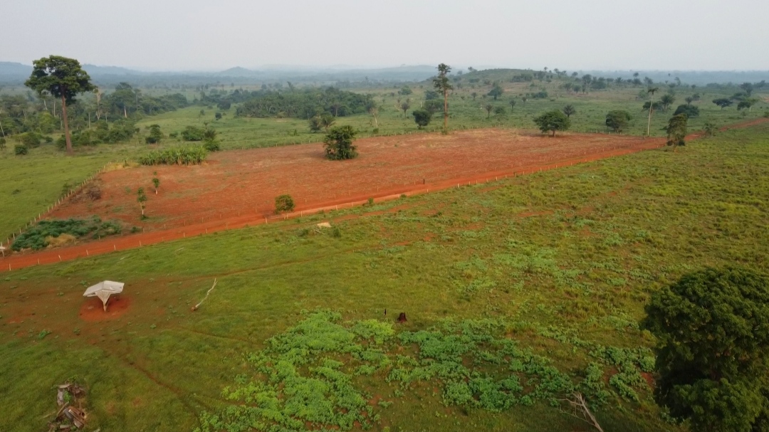 Imagem Fazenda à Venda, 1 m²em Centro - São Félix do Xingu Imagem Fazenda à Venda, 1 m²em Centro - São Félix do Xingu