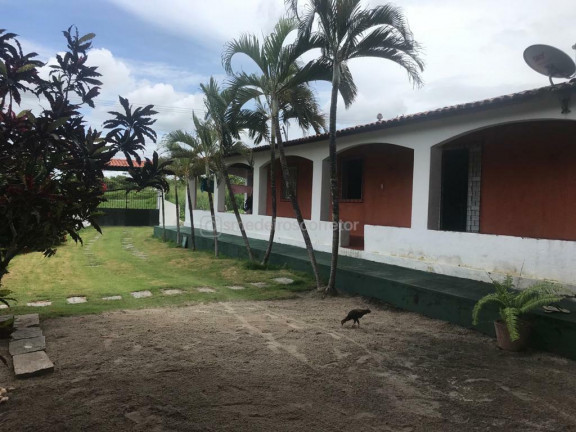 Imagem Chácara com 3 Quartos à Venda,  em Distrito Patacas - Aquiraz