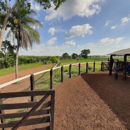 Fazenda à Venda, 103 Alq GOem ZONA RURAL - Pedro Afonso