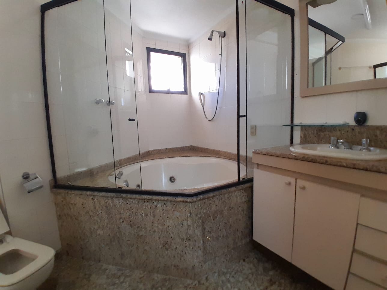 Imagem Apartamento com 3 Quartos à Venda ou Locação, 245 m² em Aclimação - São Paulo
