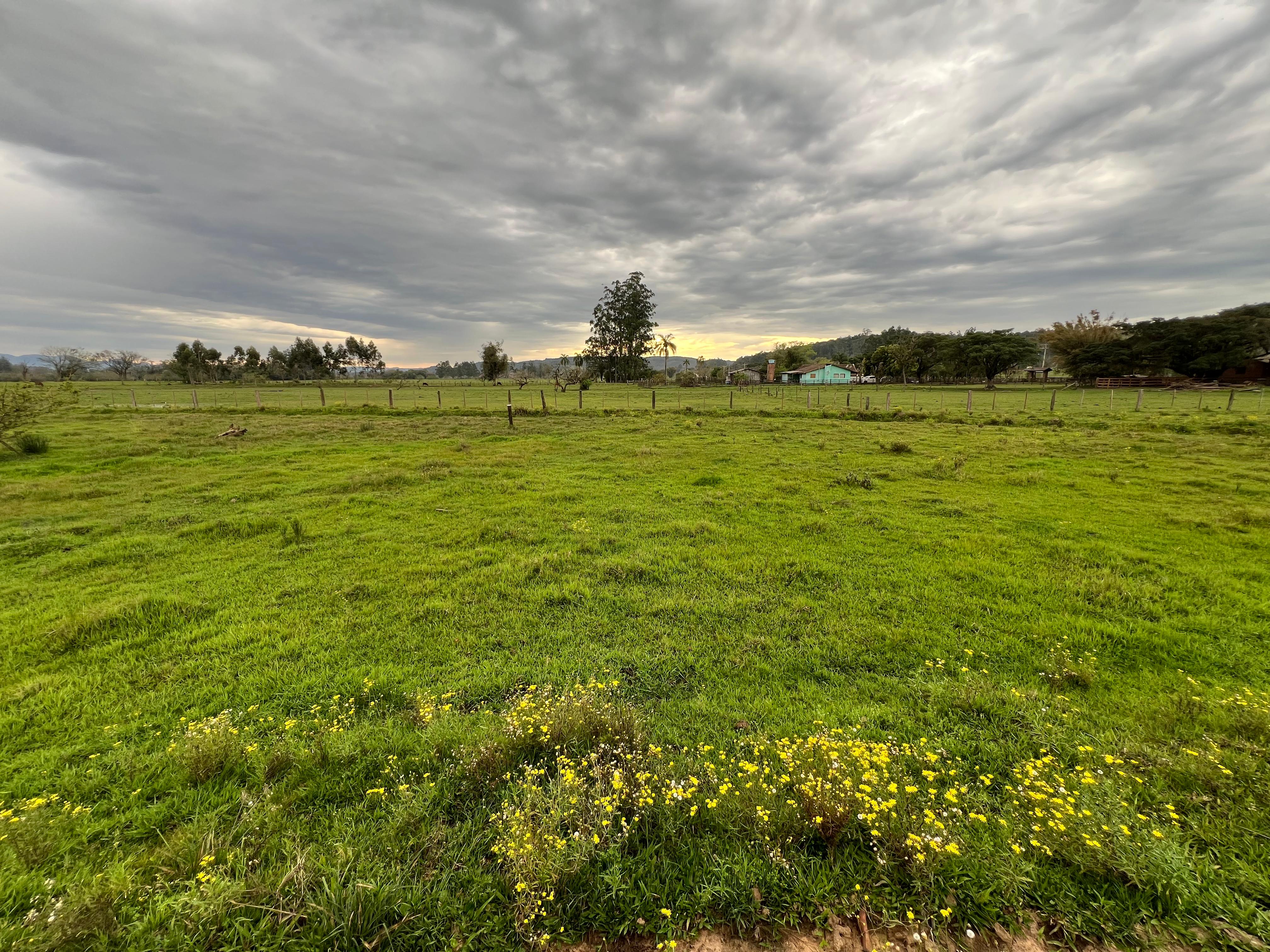 Imagem Chácara com 2 Quartos à Venda, 14.000 m² em Lomba Grande - Novo Hamburgo