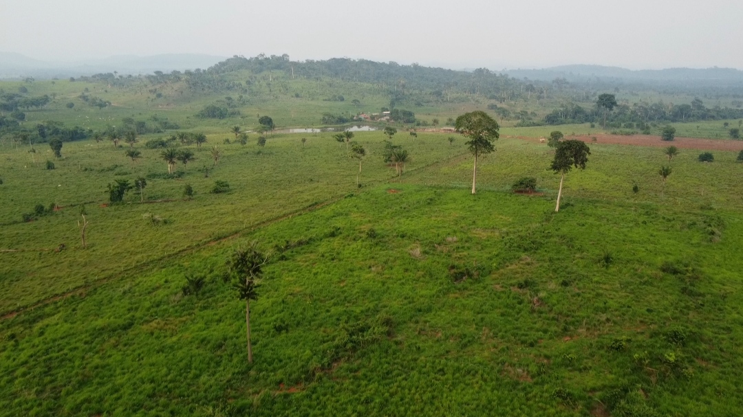Imagem Fazenda à Venda, 1 m²em Centro - São Félix do Xingu Imagem Fazenda à Venda, 1 m²em Centro - São Félix do Xingu