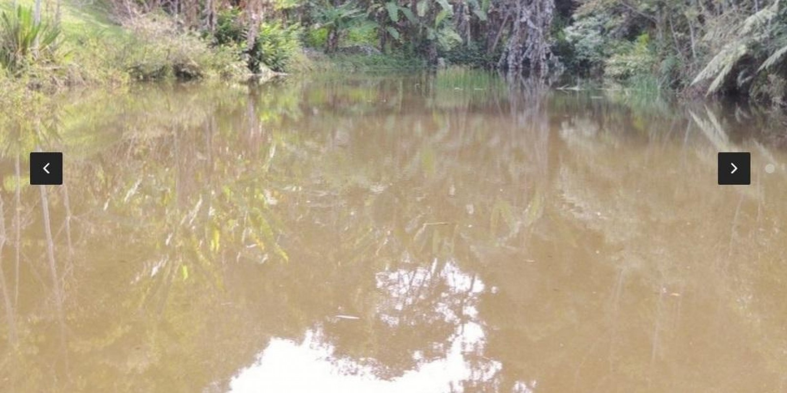 Imagem Chácara com 8 Quartos à Venda, em Centro - Santa Isabel Imagem Chácara com 8 Quartos à Venda, em Centro - Santa Isabel