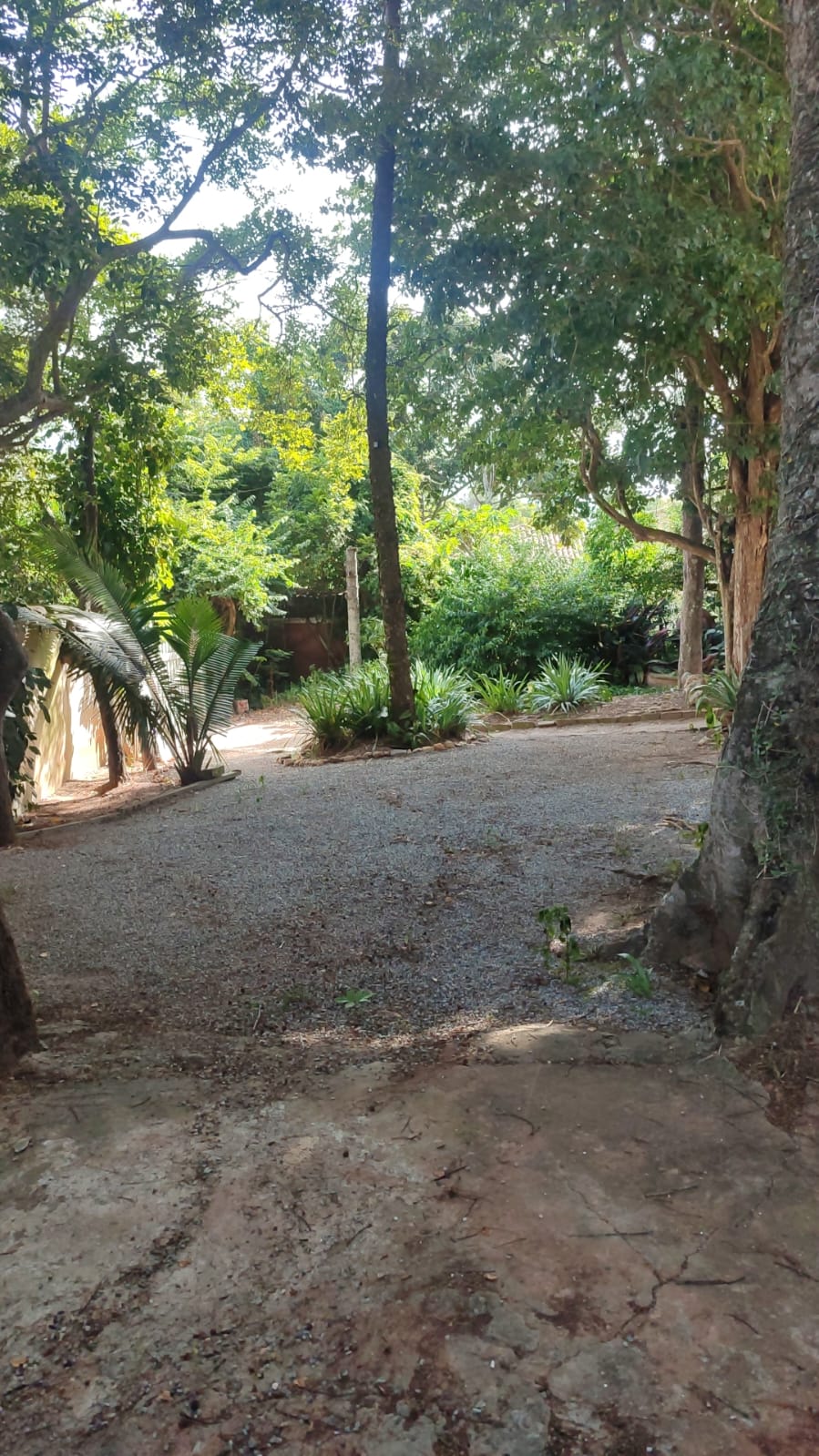 Imagem Terreno à Venda, 1.350 m² em Praia Rasa - Armação dos Búzios