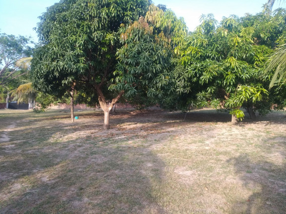 Imagem Terreno à Venda, 5.332 m² em Panaquatira - São José de Ribamar Imagem Terreno à Venda, 5.332 m² em Panaquatira - São José de Ribamar