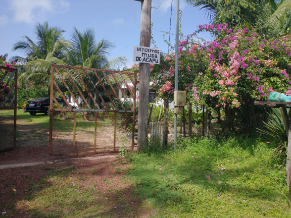 Imagem Chácara à Venda, 1 m² em Centro - Santa Isabel do Pará
