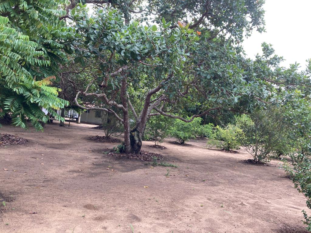 Imagem Imóvel com 5 Quartos à Venda, 400 m²em Murutuba - Cachoeira Imagem Imóvel com 5 Quartos à Venda, 400 m²em Murutuba - Cachoeira
