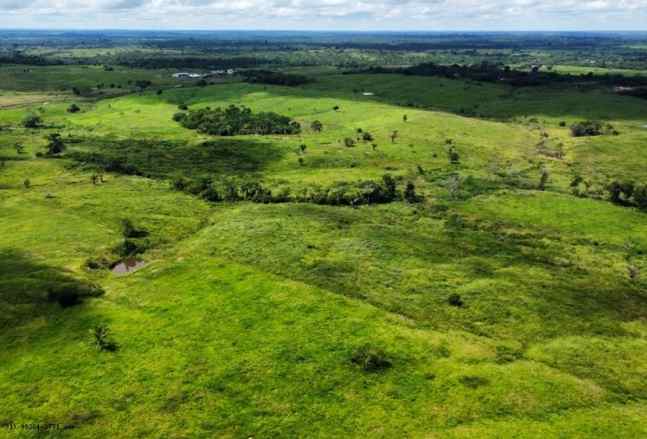 Imagem Fazenda à Venda, 44 m²em Área Rural de Marabá - Marabá