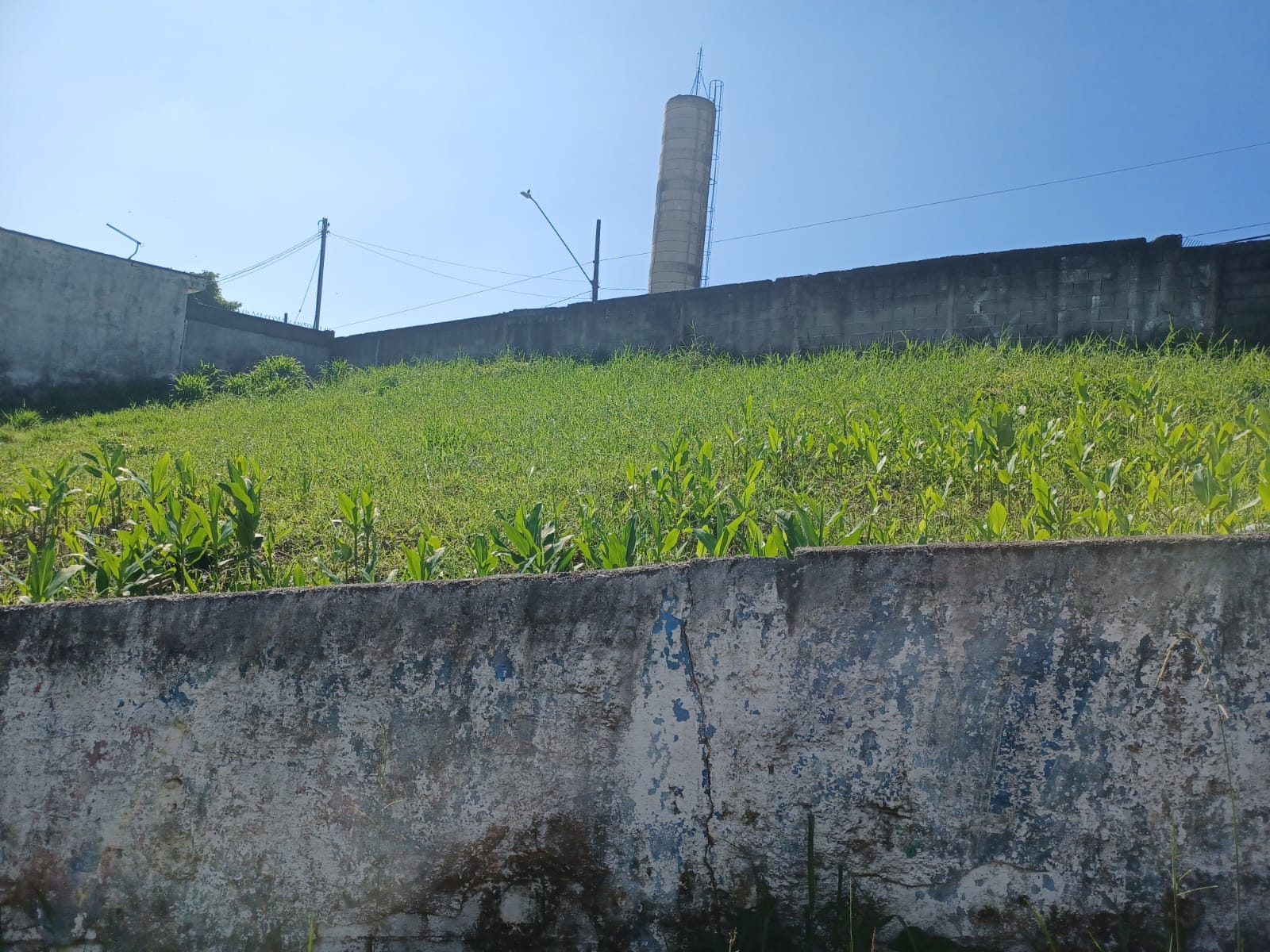 Imagem Terreno à Venda, 416 m² em Vila Figueiredo - Rio Grande da Serra Imagem Terreno à Venda, 416 m² em Vila Figueiredo - Rio Grande da Serra