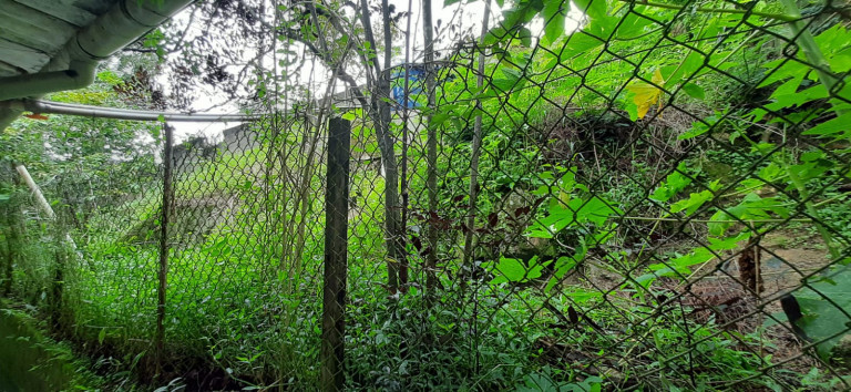 Imagem Casa com 2 Quartos à Venda,  em Morro do Abrigo - São Sebastião