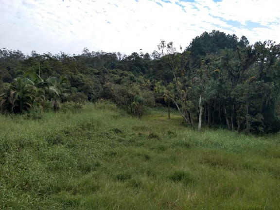 Imagem Chácara com 3 Quartos à Venda, 100 m² em Santa Luzia - Ribeirão Pires