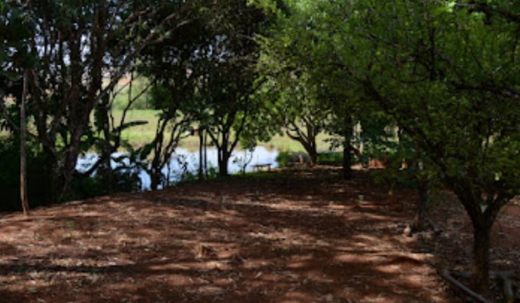 Imagem Chácara com 6 Quartos à Venda, 37.800 m² em Sítios de Recreio Americano do Brasil - Anápolis