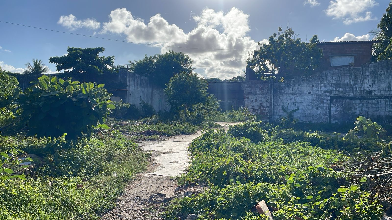 Imagem Terreno à Venda, 1.400 m² em Barra de Jangada - Jaboatão dos Guararapes