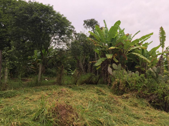 Imagem Terreno à Venda, 43.500 m² em Vila Andrade - Mogi das Cruzes Imagem Terreno à Venda, 43.500 m² em Vila Andrade - Mogi das Cruzes