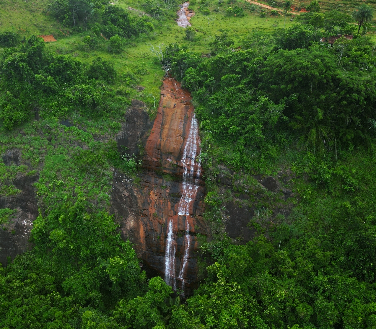Imagem Fazenda à Venda, 459.000 HA em Área Rural de Valença - Valença