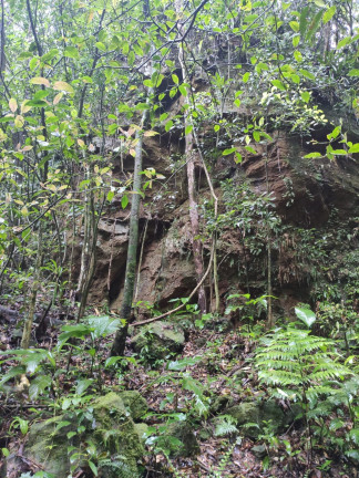 Imagem Terreno à Venda,  em Santaninha - Pedras Grandes